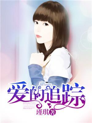 爱的追踪封面