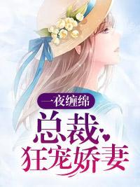 一夜缠绵：总裁狂宠娇妻封面