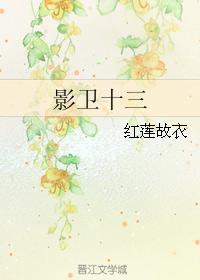 影卫十三封面