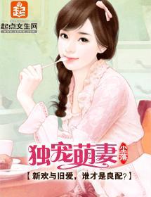 独宠萌妻封面