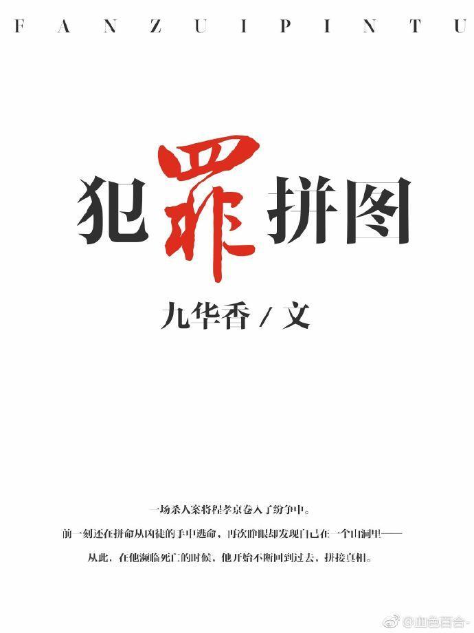 犯罪拼图封面
