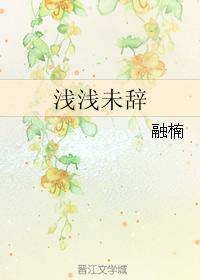 浅浅未辞封面