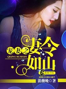 宠妻之妻令如山封面