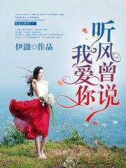 听风曾说我爱你封面