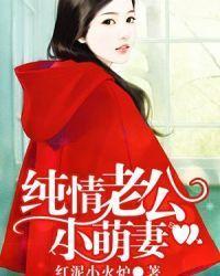 纯情老公小萌妻封面