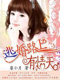 逃婚路上有情天封面