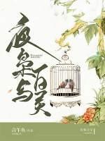 夜枭与百灵封面