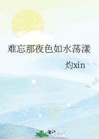 难忘那夜色如水荡漾封面