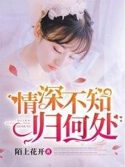 情深不知归何处苏璐霍连城封面