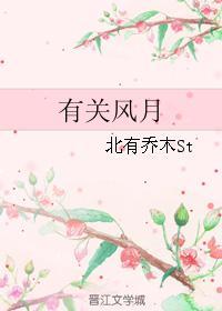 有关风月封面