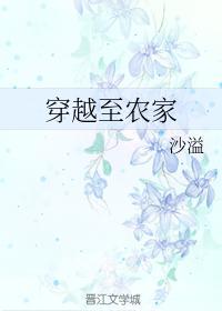 穿越至农家封面