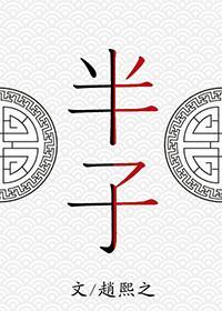 半子封面