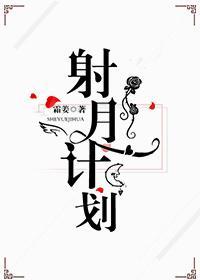 射月计划封面