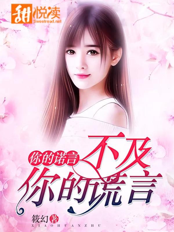 你的诺言，不及你的谎言封面