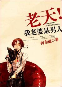 老天！我老婆是男人封面