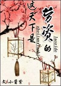 这天下是劳资的！封面
