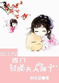 [陆小凤]西门你的夫人掉了封面