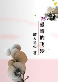 爱情的飞沙封面