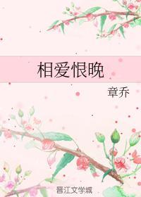 相爱恨晚封面