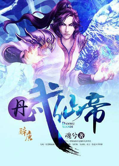 丹武仙帝封面
