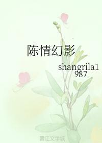 陈情幻影封面