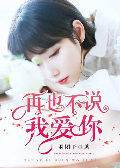 再也不说我爱你封面