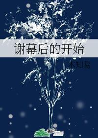 谢幕后的开始封面
