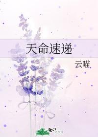 天命速递封面