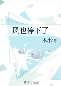 风也停下了封面