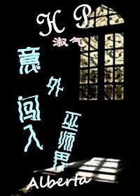 意外闯入巫师界封面