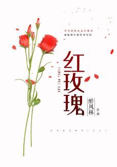 红玫瑰·二小姐的宠妻封面