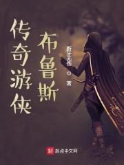 传奇游侠布鲁斯封面