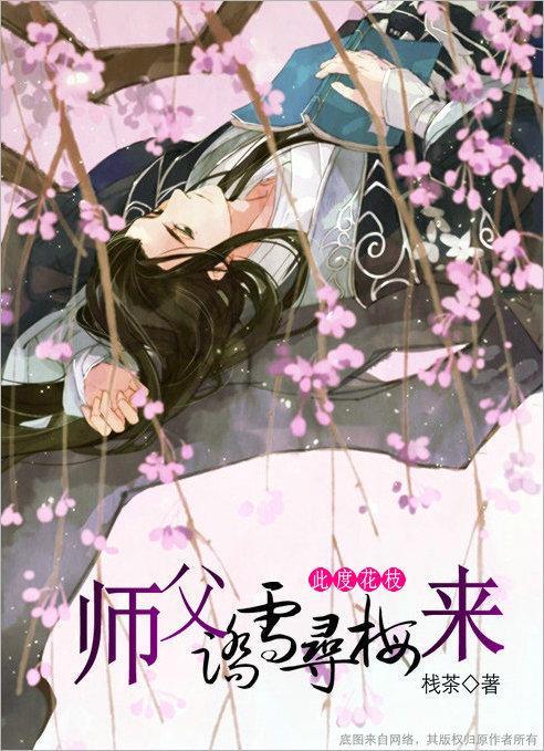 师父踏雪寻梅来封面