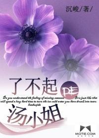 了不起的汤小姐封面