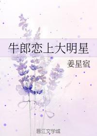 牛郎恋上大明星封面