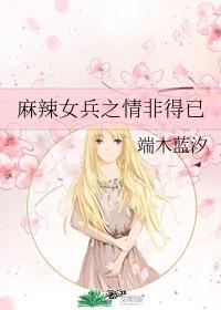 麻辣女兵之情非得已封面