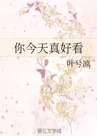 你今天真好看封面