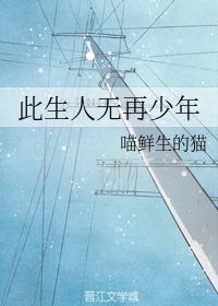 此生人无再少年封面