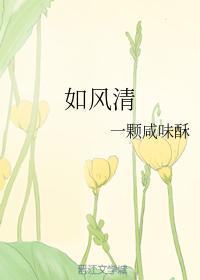如风清封面