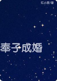 奉子成婚封面