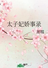 太子妃娇事录封面