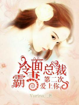 冷面总裁霸妻：第二次爱上你封面