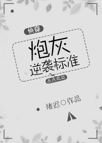 炮灰逆袭标准（快穿）封面