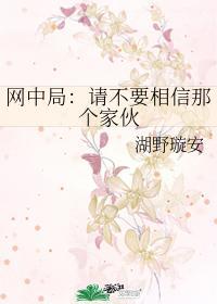 网中局：请不要相信那个家伙封面