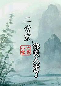 二当家，你夫人来了封面