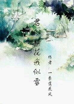 君似梨花我似雪封面