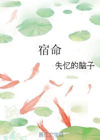 宿命封面
