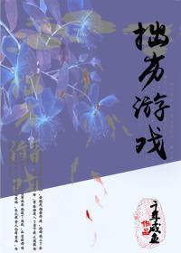 拙劣游戏封面