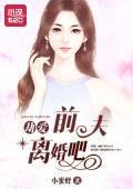 劫爱：前夫，离婚吧封面