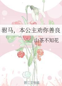 驸马，本公主劝你善良封面